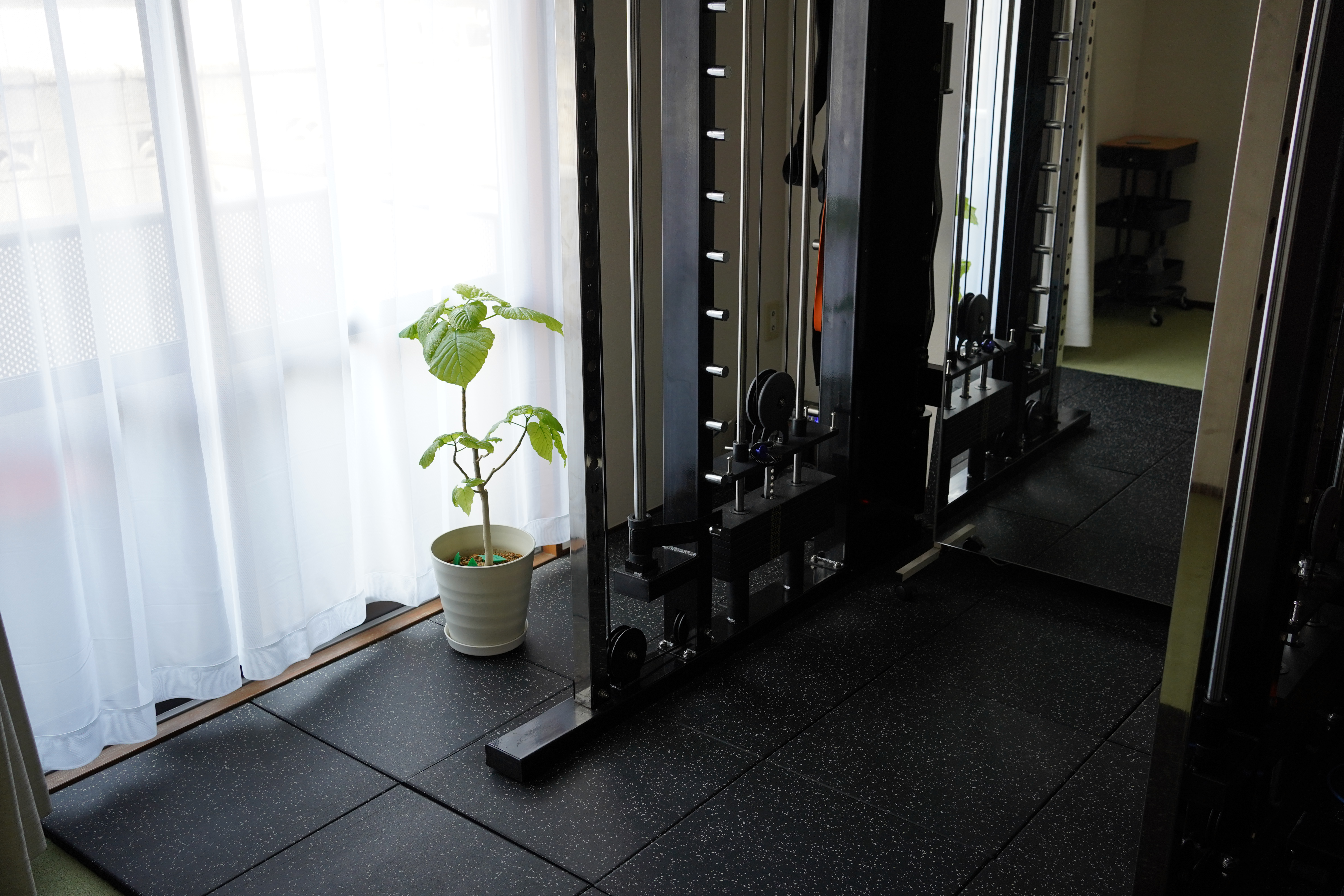 関前店 (1号店) atmosphere