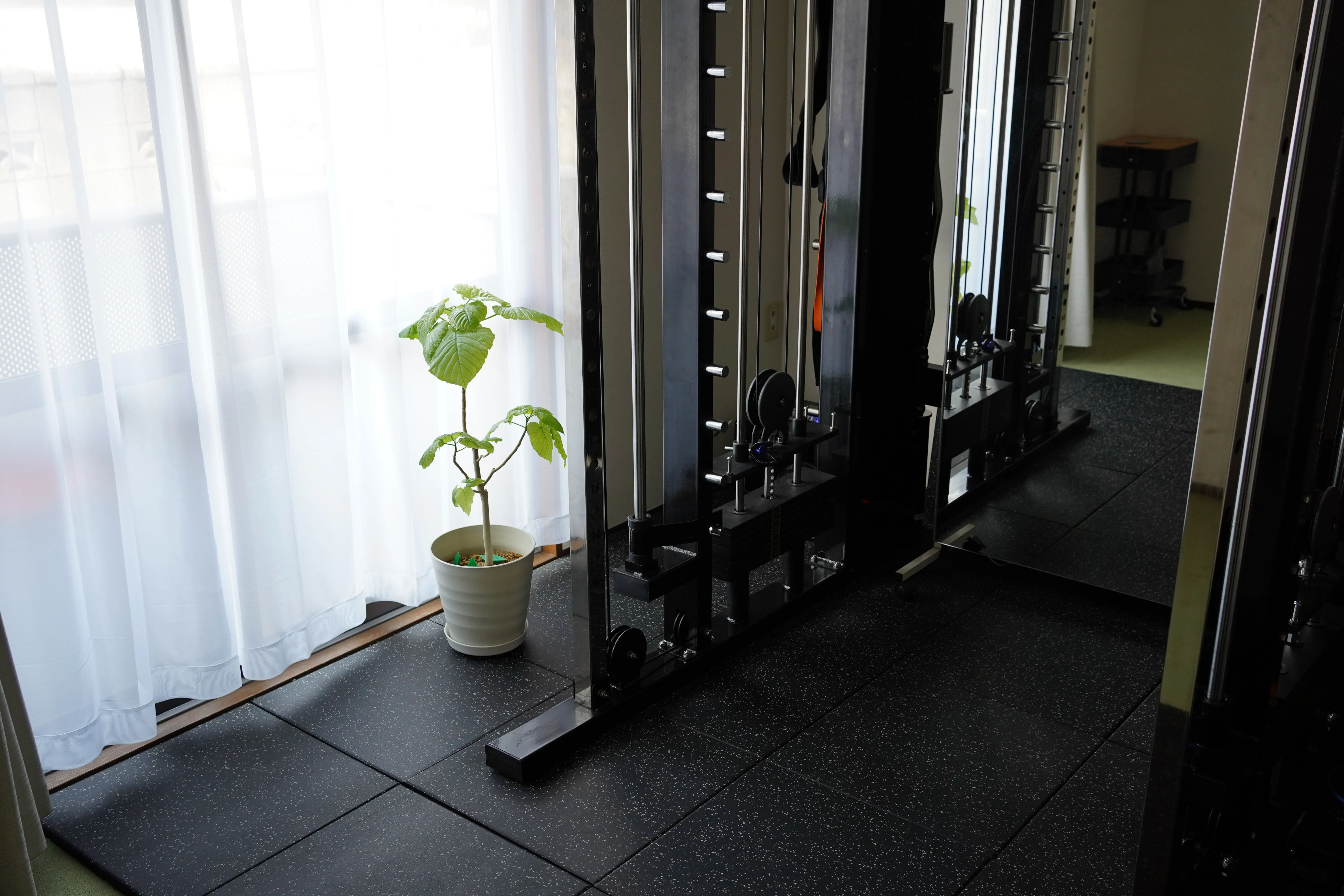 関前店 (1号店) atmosphere